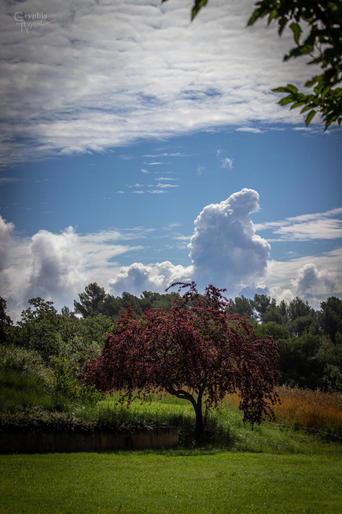 Domaine De La Marie Dans Le Luberon Villa Peypin-d'Aigues Dış mekan fotoğraf
